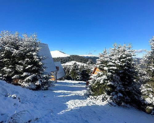 Giresun Yayla Evleri